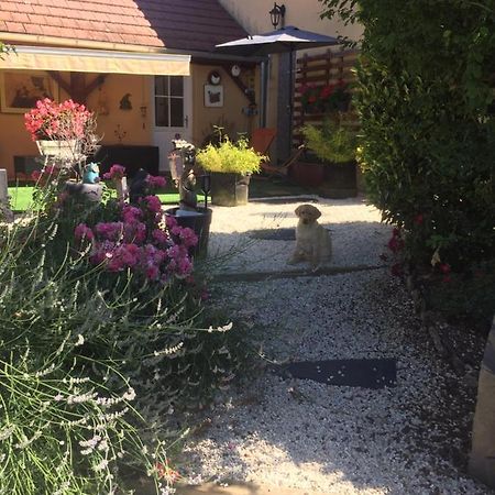 MazilleLe Jardin De Theleme "Charme Discret Pour Un Nid Douillet"别墅 外观 照片