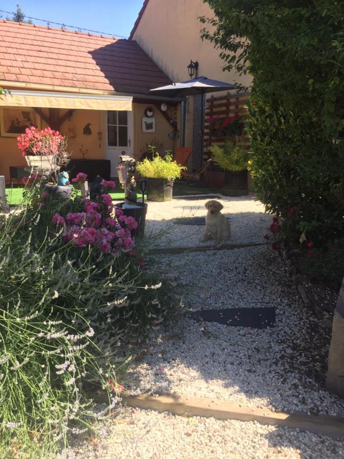 MazilleLe Jardin De Theleme "Charme Discret Pour Un Nid Douillet"别墅 外观 照片